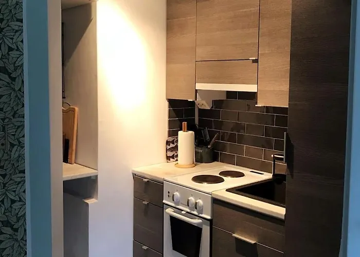 Viehaettaevae Yksioe Merellisessae Kotkassa. Appartamento